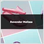 Aprenda como revender Melissa