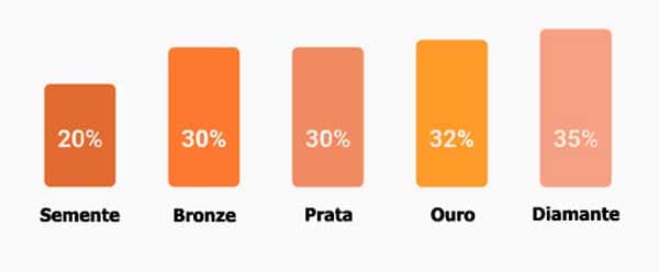 Níveis de consultora Natura