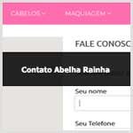 Aprenda como entrar em contato com a Abelha Rainha