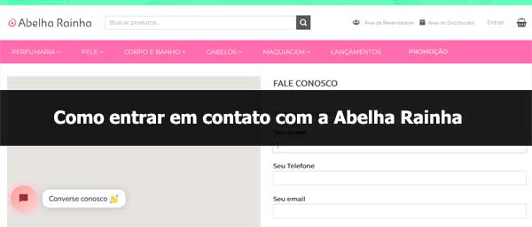 Como entrar em contato com a empresa Abelha Rainha