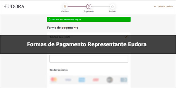 Formas de pagamento de representante Eudora